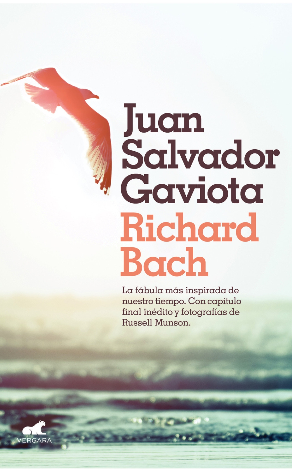 Juan Salvador Gaviota